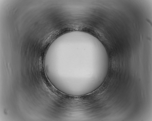 X0000103140594200808221106