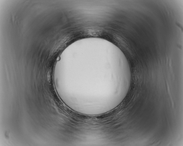 X0000103140595200808221106