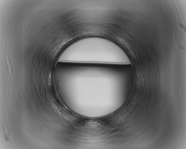 X0000103140596200808221106