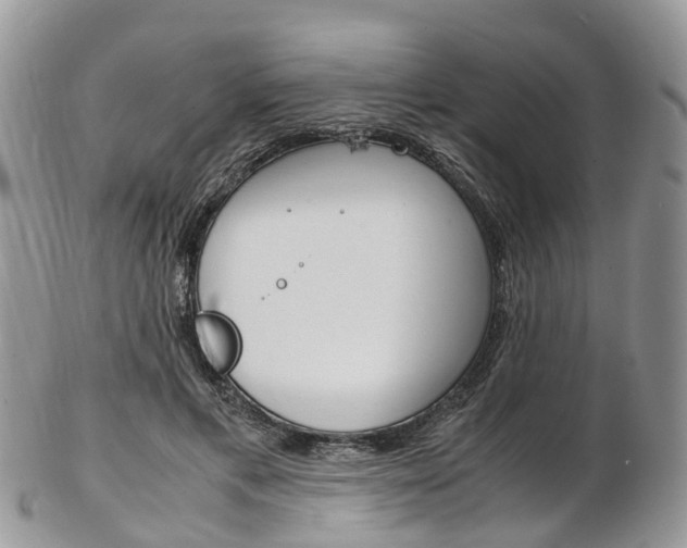X0000103140597200808221106