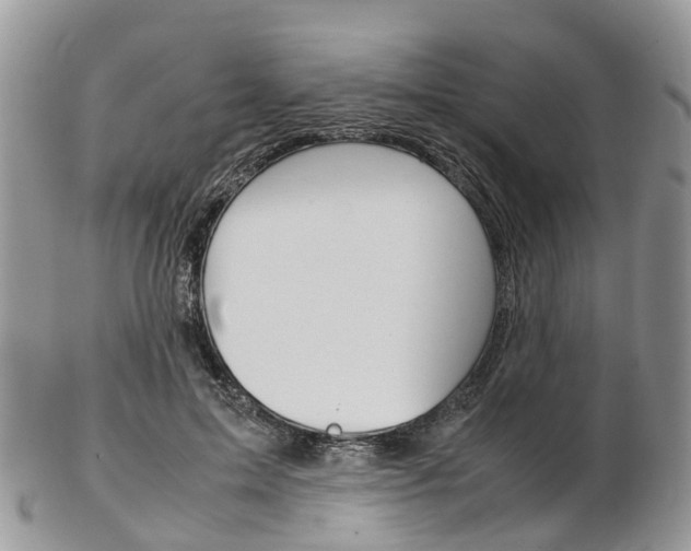 X0000103140599200808221106
