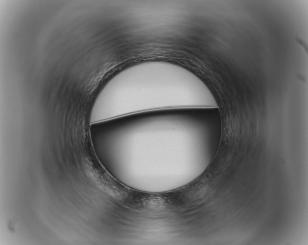 X0000103140600200808221106