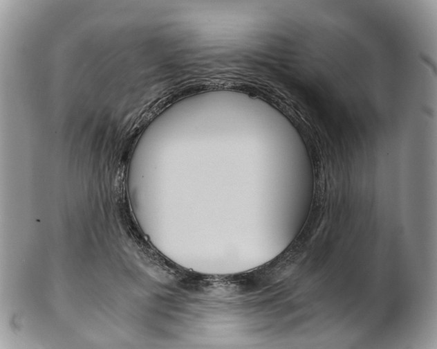 X0000103140601200808221106