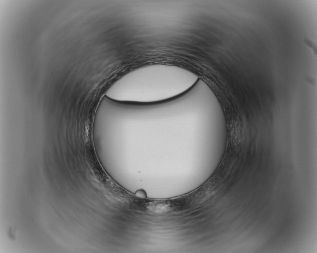 X0000103140602200808221106