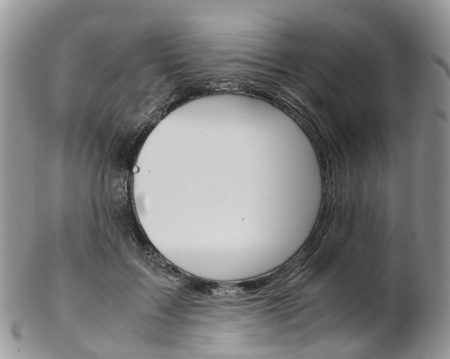 X0000103140603200808221106