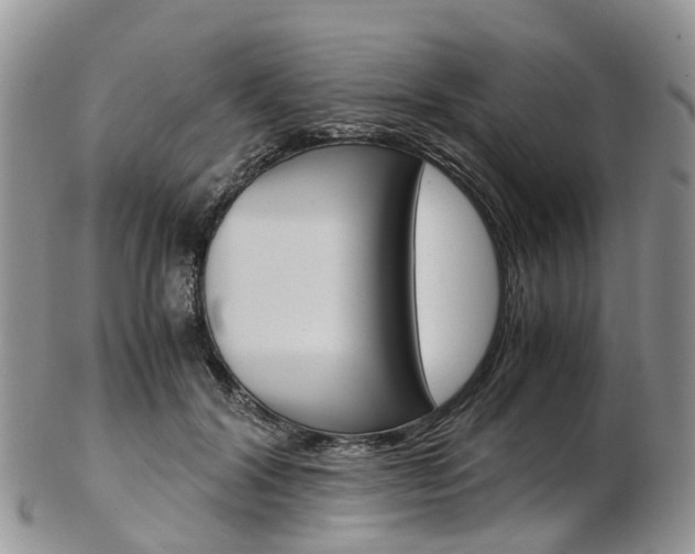 X0000103140604200808221106