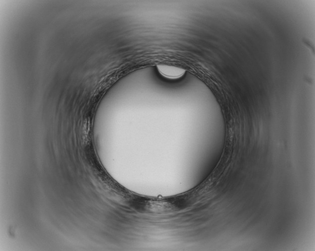 X0000103140605200808221106