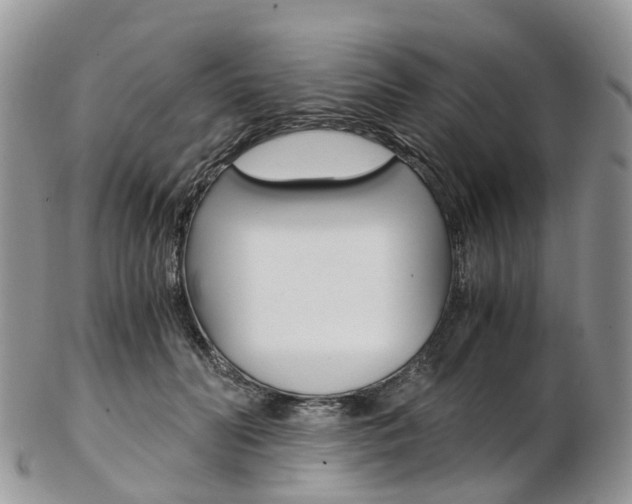 X0000103140606200808221106