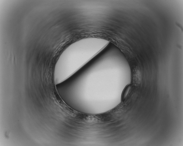 X0000103140608200808221106