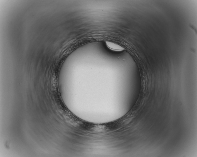 X0000103140609200808221106