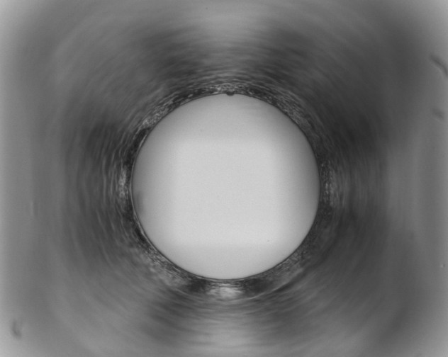 X0000103140610200808221106