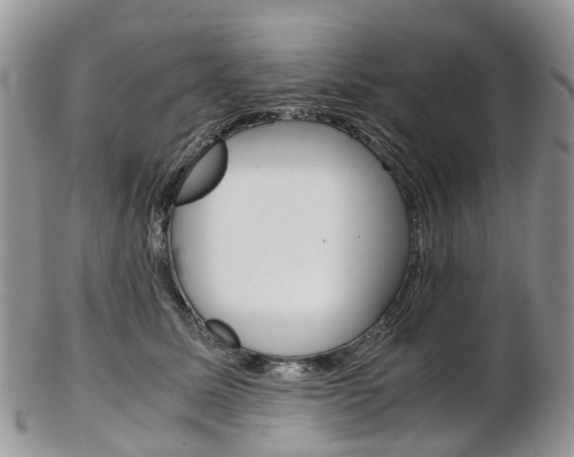 X0000103140611200808221106