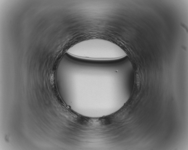 X0000103140613200808221106
