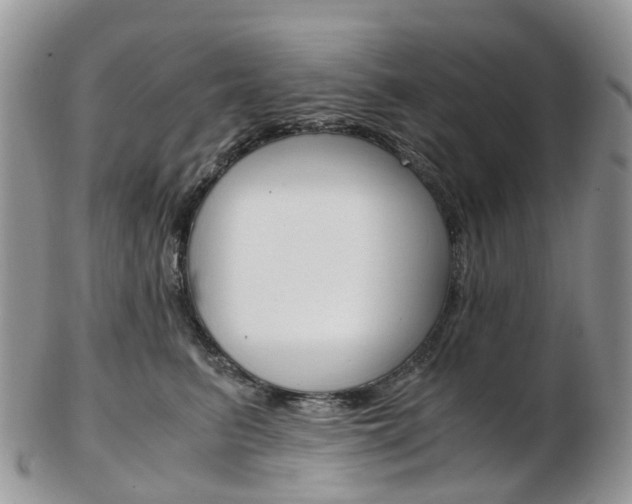 X0000103140615200808221106