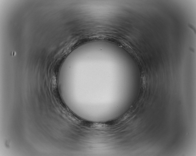 X0000103140617200808221106