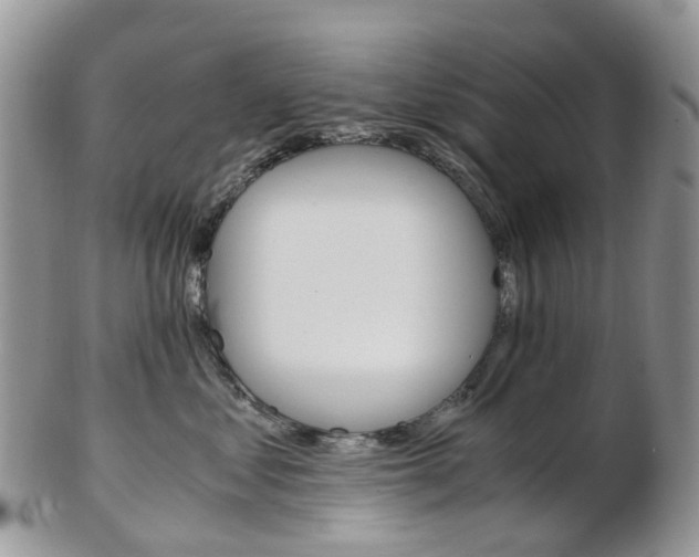 X0000103140621200808221105