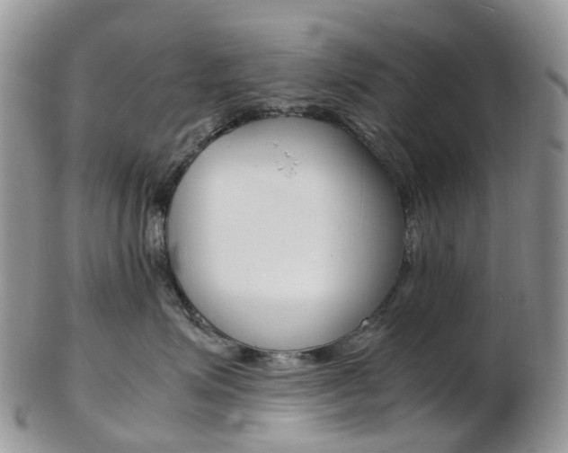 X0000103140623200808221105