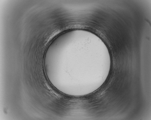 X0000103140625200808221105