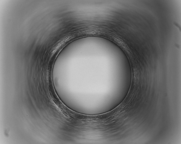 X0000103140626200808221105