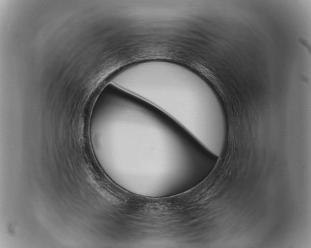 X0000103140627200808221105