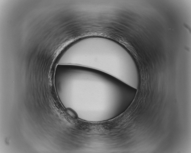 X0000103140628200808221105