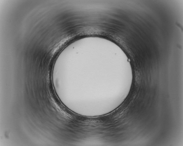 X0000103140629200808221105
