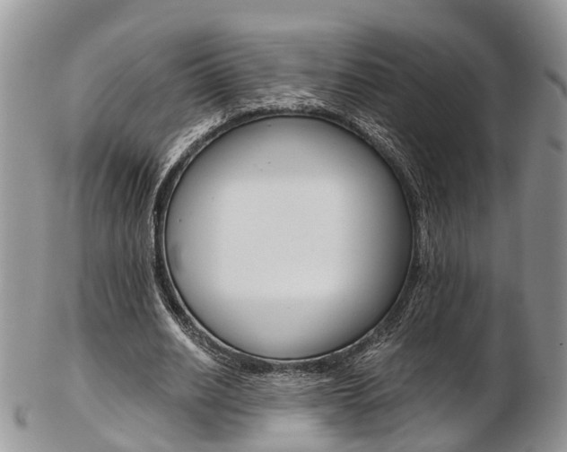 X0000103140630200808221105
