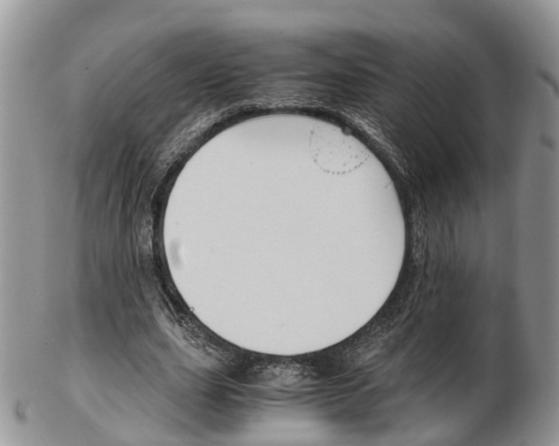 X0000103140631200808221105