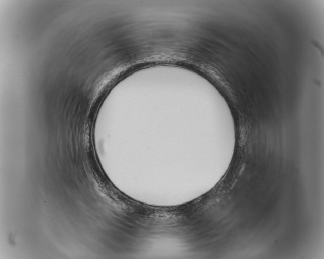 X0000103140632200808221105
