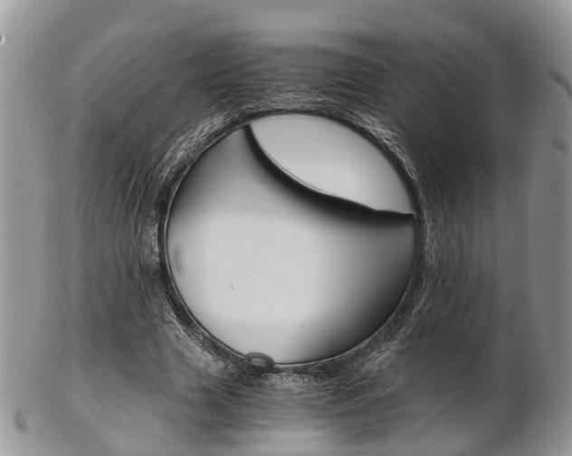 X0000103140633200808221105