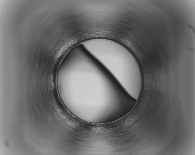 X0000103140634200808221105
