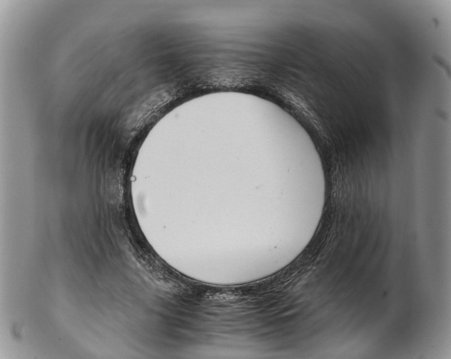 X0000103140635200808221105