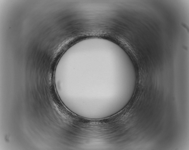 X0000103140636200808221105