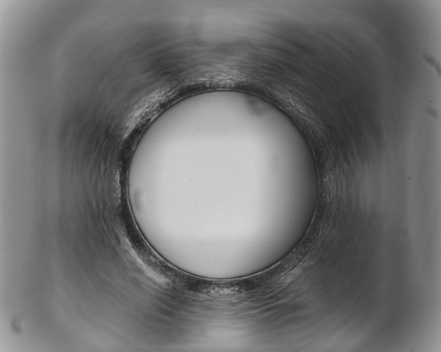 X0000103140638200808221105