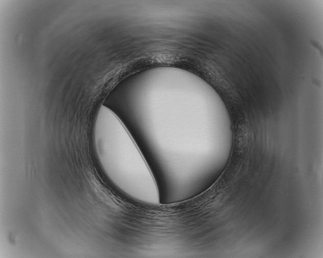 X0000103140639200808221105