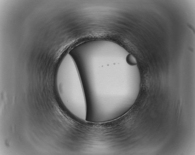 X0000103140640200808221105
