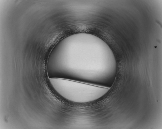 X0000103140642200808221105