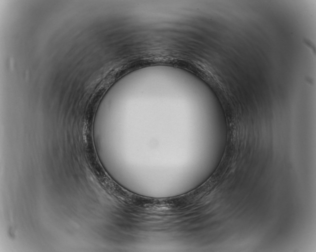 X0000103140643200808221105