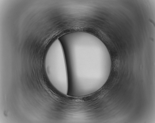 X0000103140644200808221105
