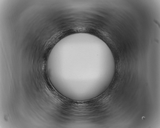 X0000103140645200808221105