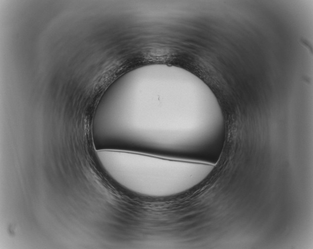 X0000103140647200808221105