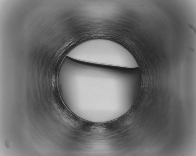 X0000103140648200808221105