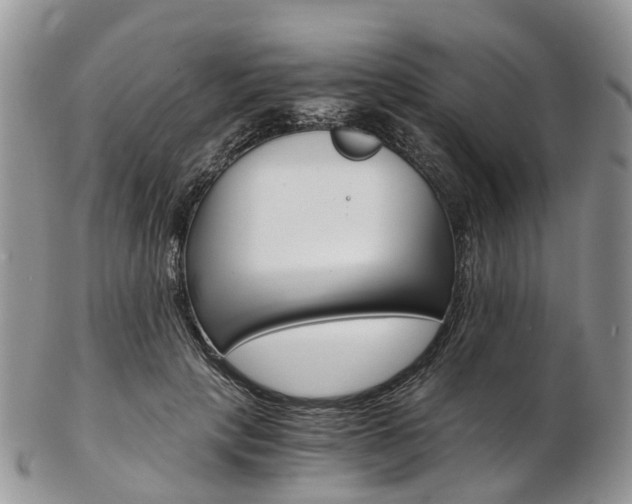 X0000103140649200808221105