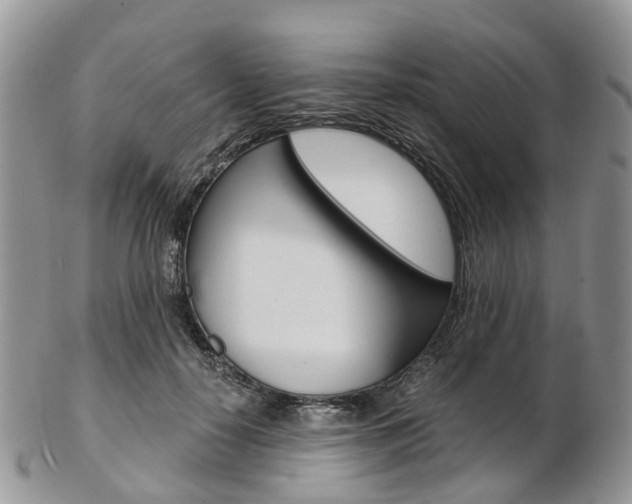 X0000103140650200808221105