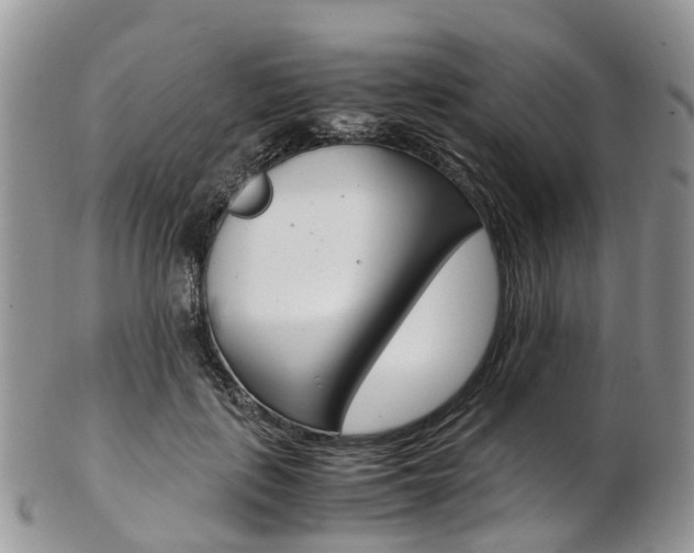 X0000103140651200808221105