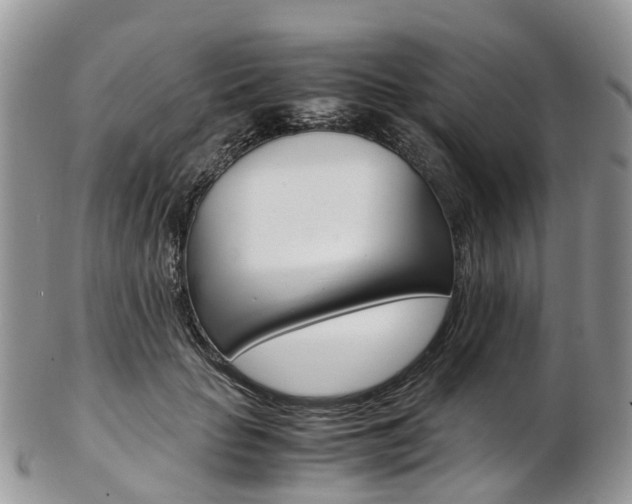 X0000103140653200808221105