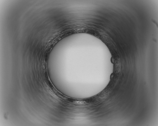 X0000103140654200808221105