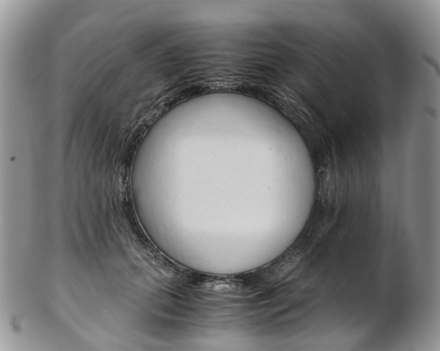 X0000103140655200808221105