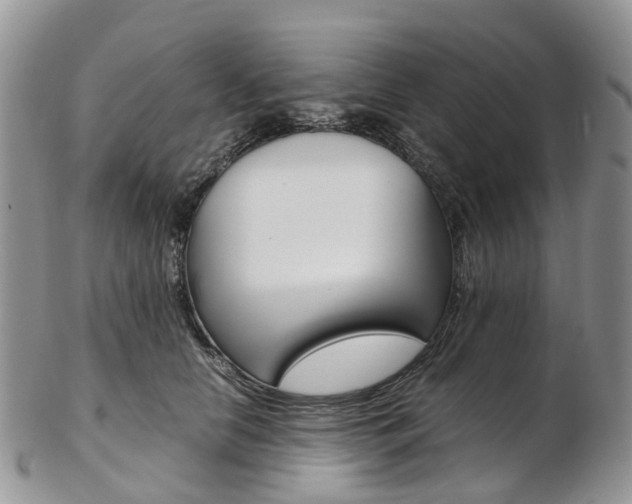 X0000103140658200808221105