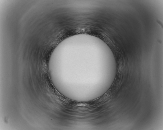 X0000103140659200808221105